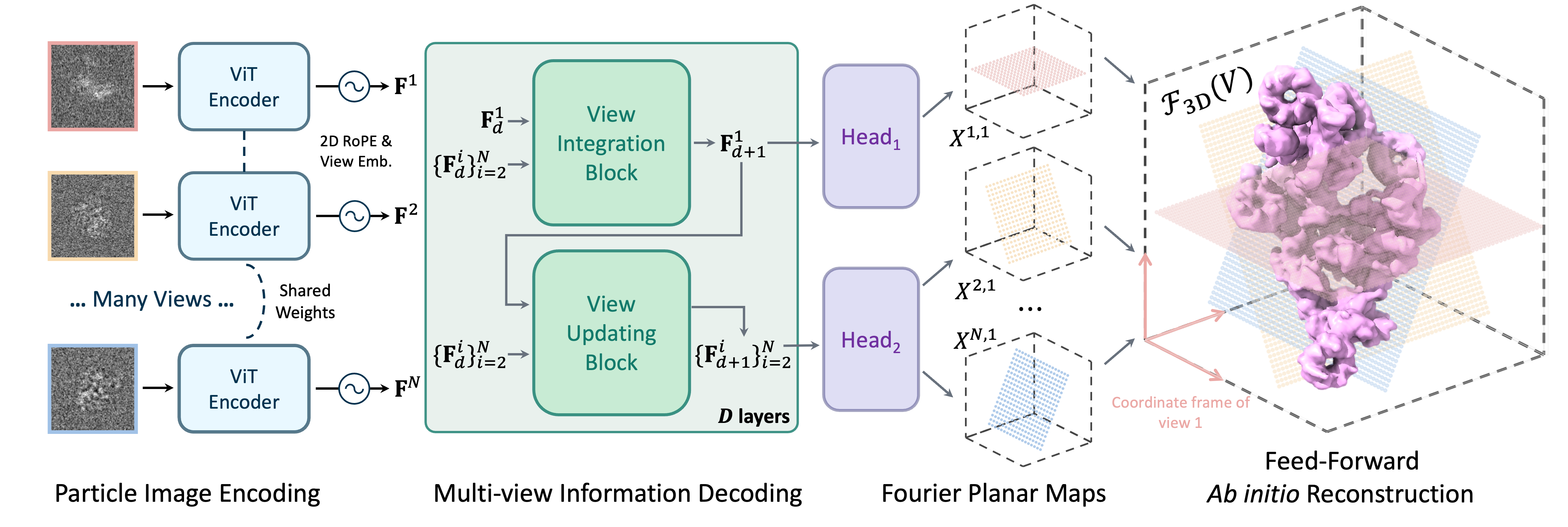 Pipeline diagram summarizing CryoFastAR's pose estimation and reconstruction architecture.
